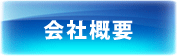 ЊTv
