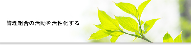 �Ǘ��g���̊���������������